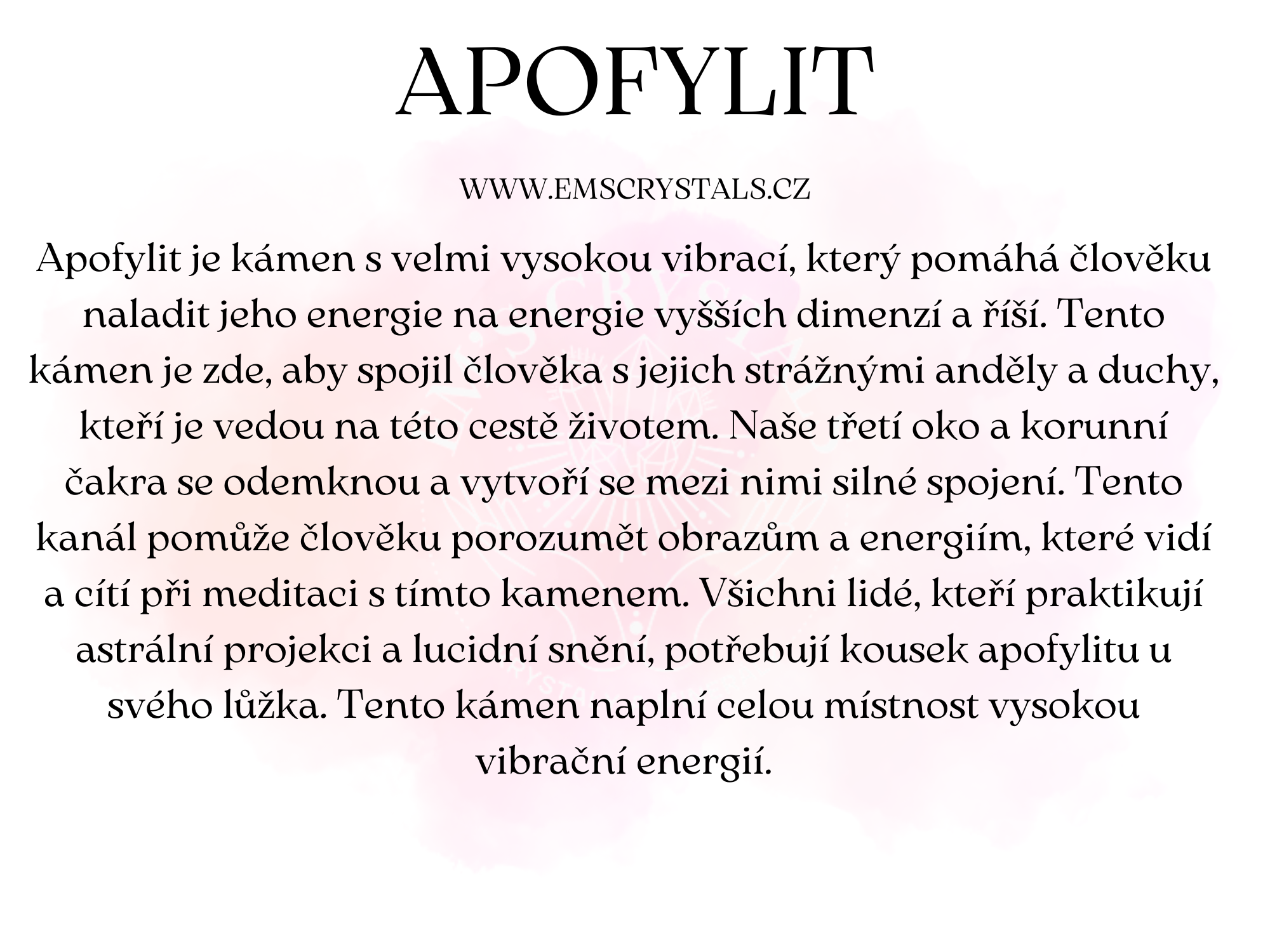 APOFYLIT (1)